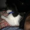 jamiel1025